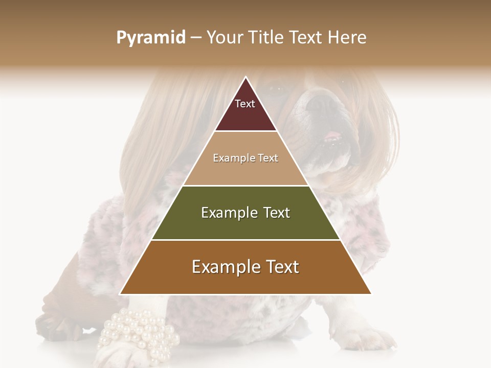 Wrinkle Domestic Wrinkled PowerPoint Template