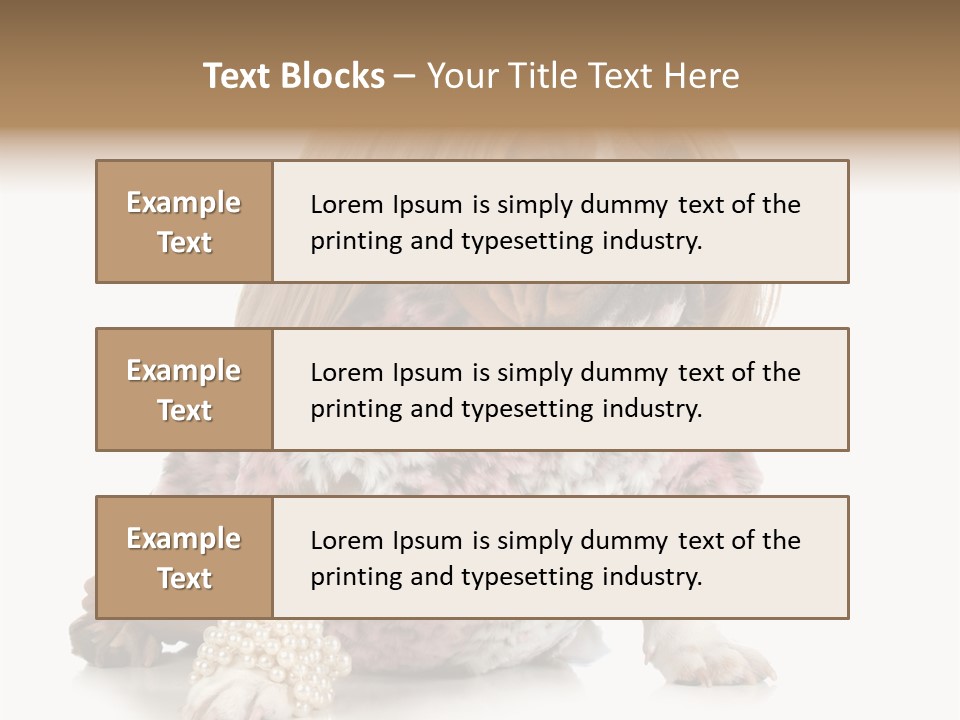 Wrinkle Domestic Wrinkled PowerPoint Template
