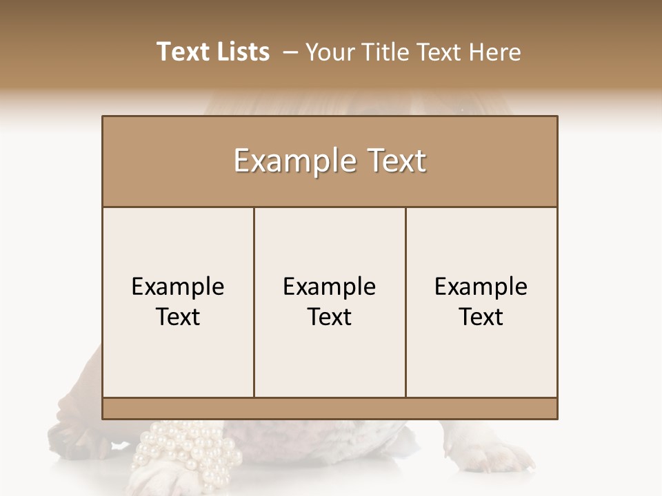 Wrinkle Domestic Wrinkled PowerPoint Template