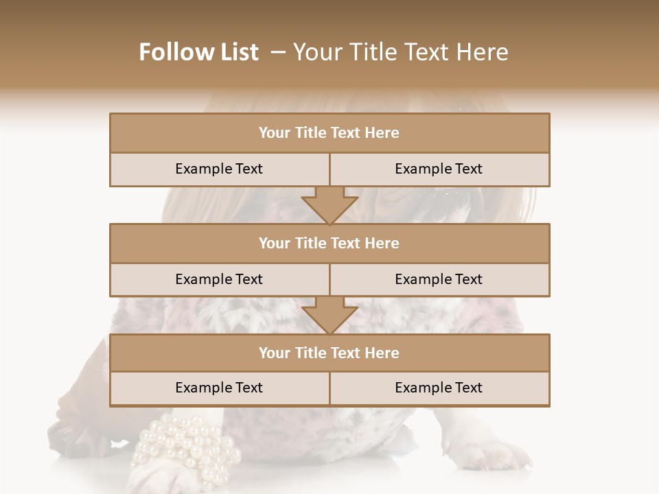 Wrinkle Domestic Wrinkled PowerPoint Template