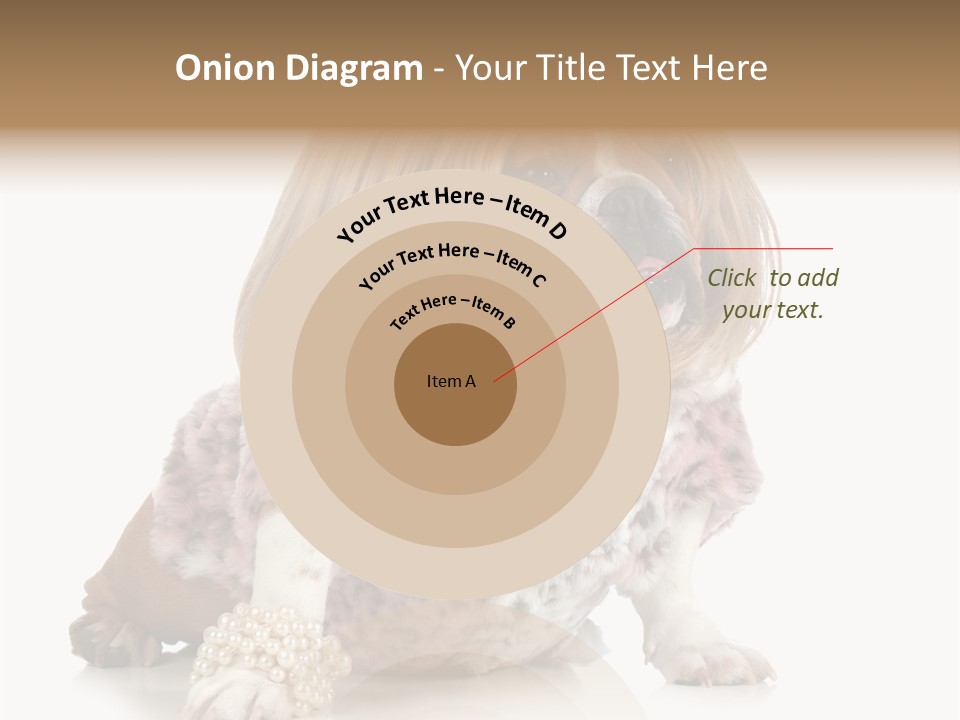 Wrinkle Domestic Wrinkled PowerPoint Template