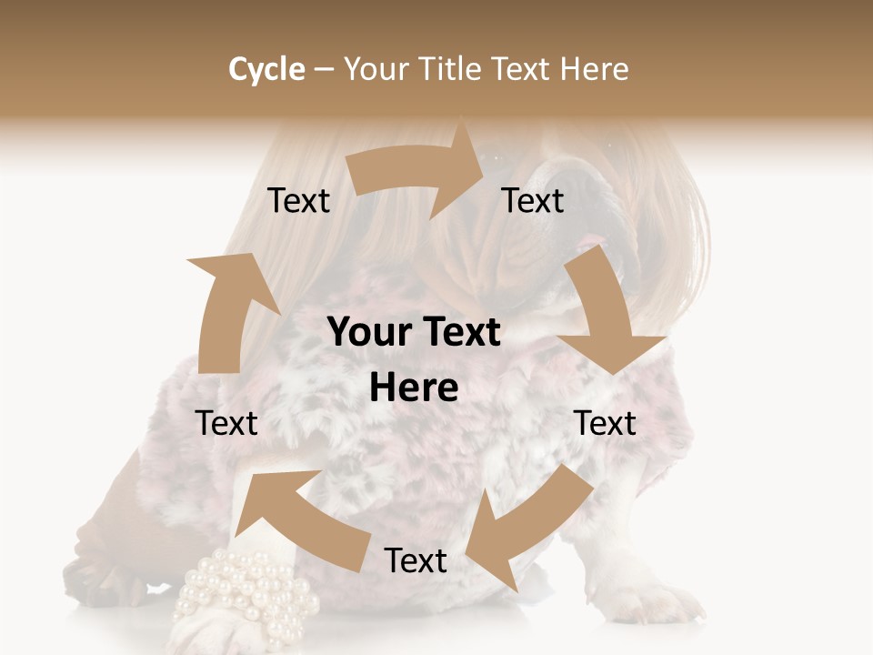 Wrinkle Domestic Wrinkled PowerPoint Template