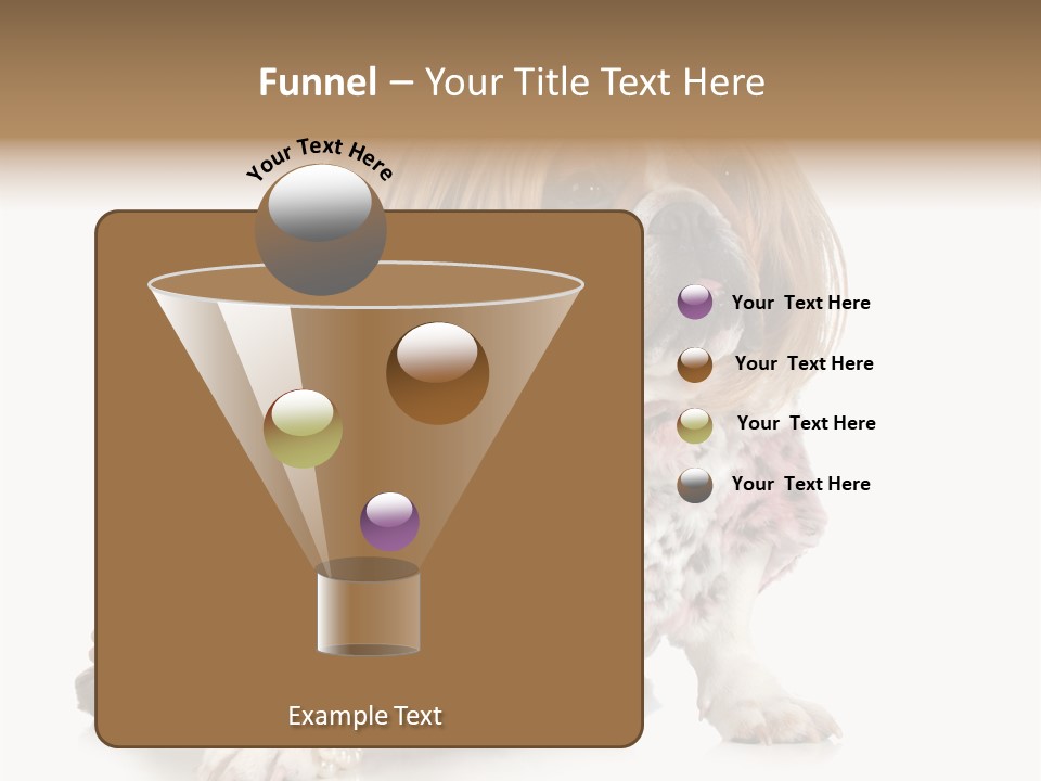 Wrinkle Domestic Wrinkled PowerPoint Template