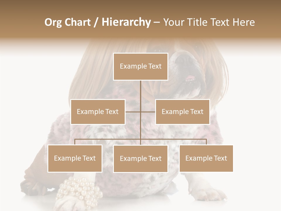 Wrinkle Domestic Wrinkled PowerPoint Template