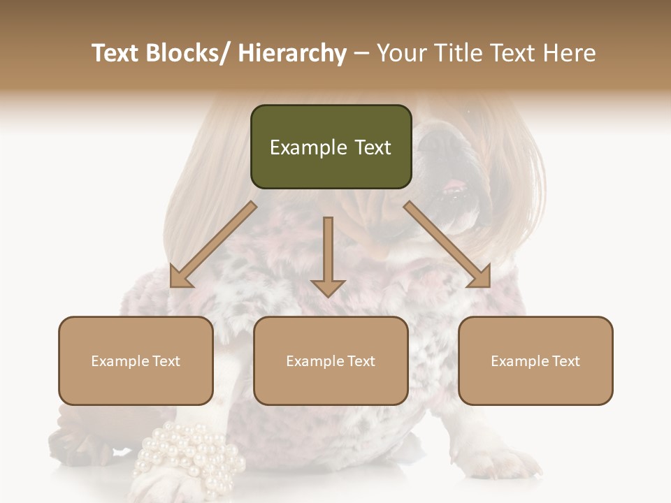 Wrinkle Domestic Wrinkled PowerPoint Template