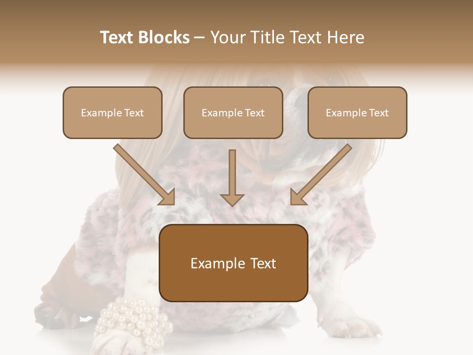 Wrinkle Domestic Wrinkled PowerPoint Template
