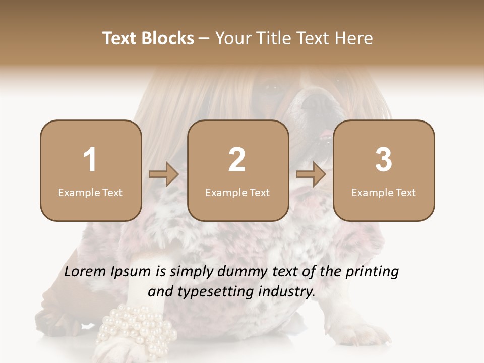 Wrinkle Domestic Wrinkled PowerPoint Template