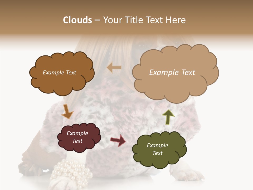 Wrinkle Domestic Wrinkled PowerPoint Template