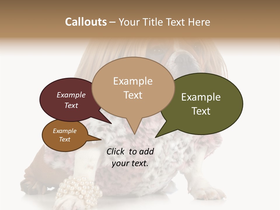 Wrinkle Domestic Wrinkled PowerPoint Template