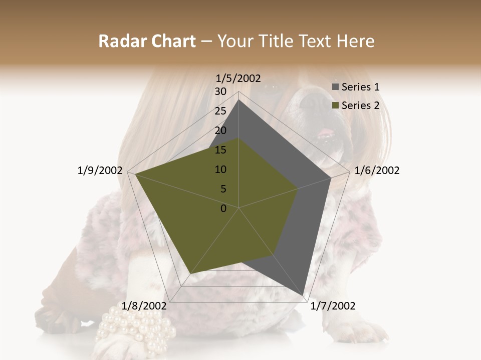 Wrinkle Domestic Wrinkled PowerPoint Template