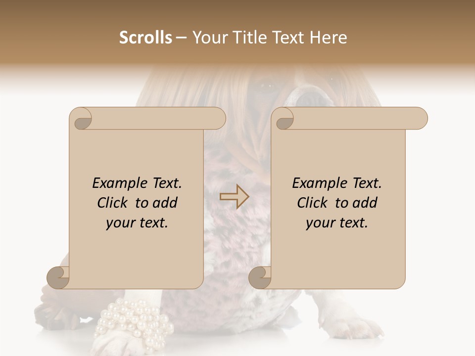 Wrinkle Domestic Wrinkled PowerPoint Template