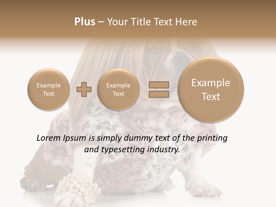 Wrinkle Domestic Wrinkled PowerPoint Template