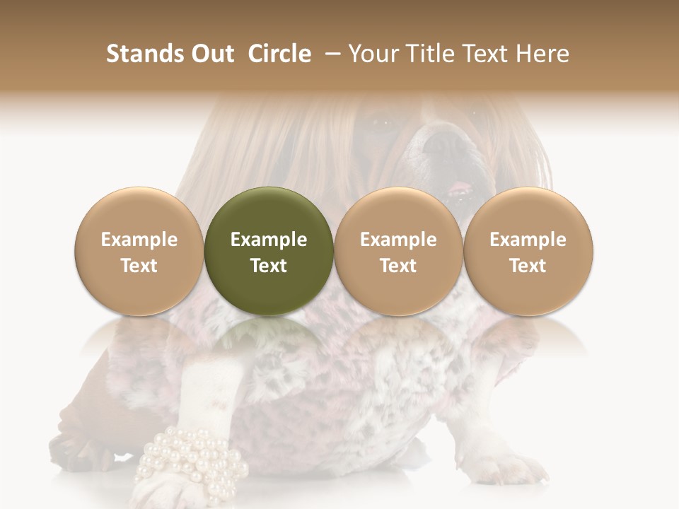 Wrinkle Domestic Wrinkled PowerPoint Template