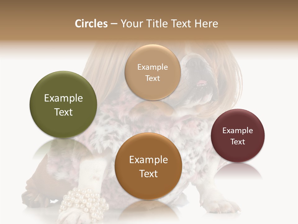 Wrinkle Domestic Wrinkled PowerPoint Template