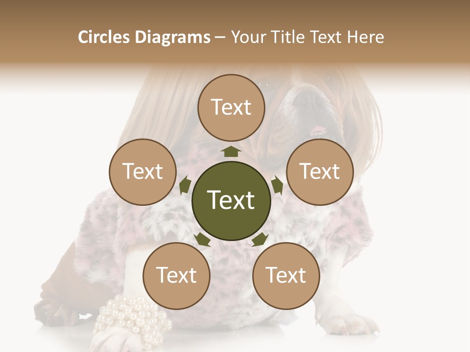 Wrinkle Domestic Wrinkled PowerPoint Template