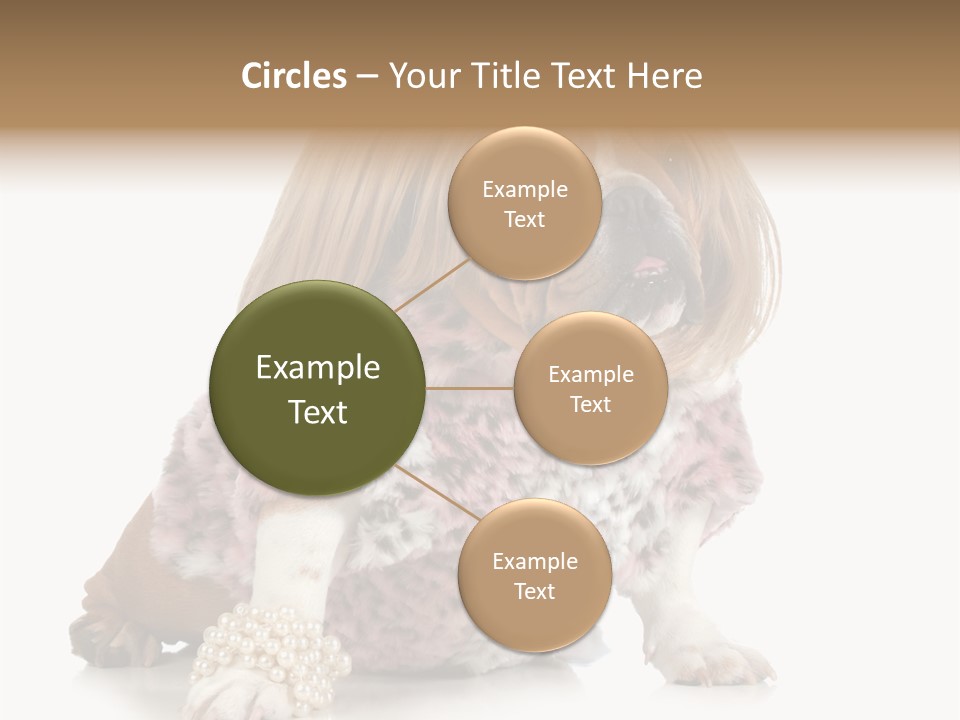 Wrinkle Domestic Wrinkled PowerPoint Template