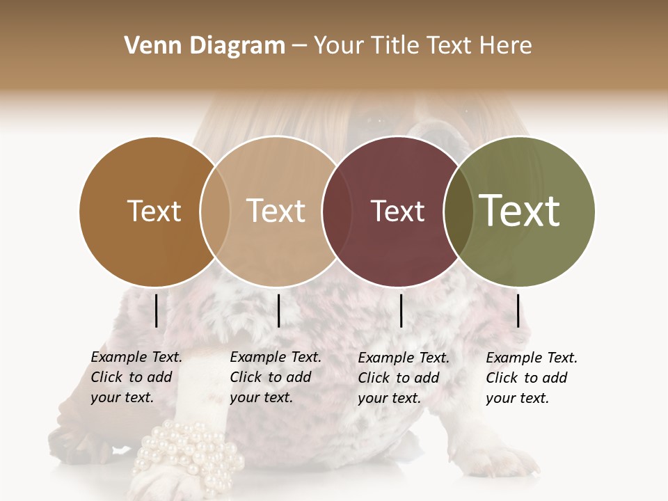 Wrinkle Domestic Wrinkled PowerPoint Template
