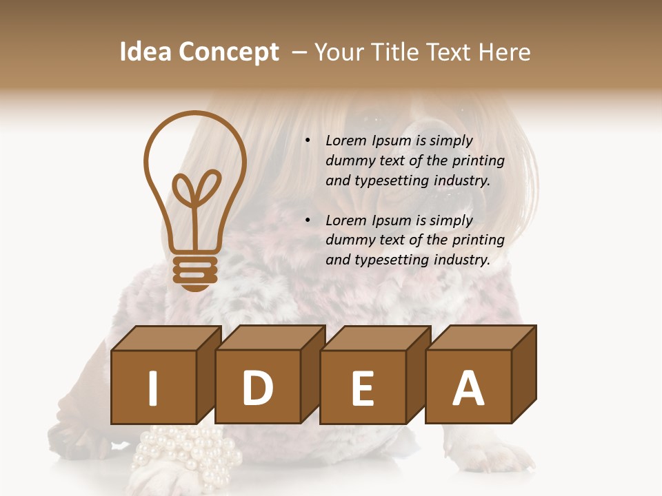 Wrinkle Domestic Wrinkled PowerPoint Template