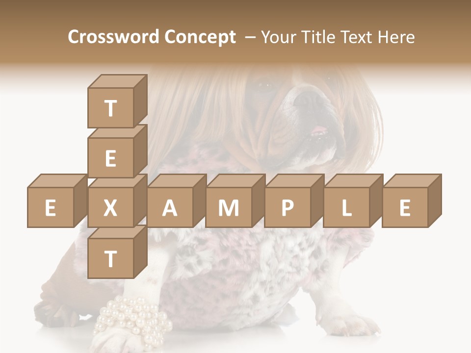 Wrinkle Domestic Wrinkled PowerPoint Template