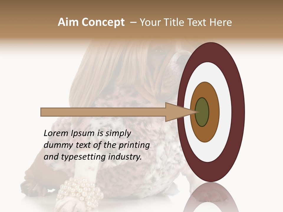 Wrinkle Domestic Wrinkled PowerPoint Template