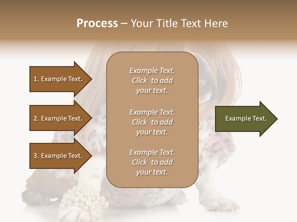 Wrinkle Domestic Wrinkled PowerPoint Template