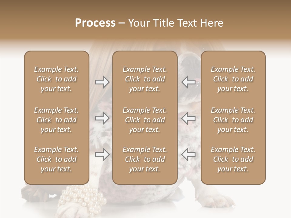 Wrinkle Domestic Wrinkled PowerPoint Template