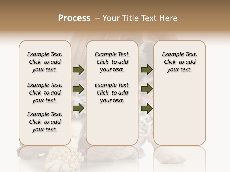 Wrinkle Domestic Wrinkled PowerPoint Template