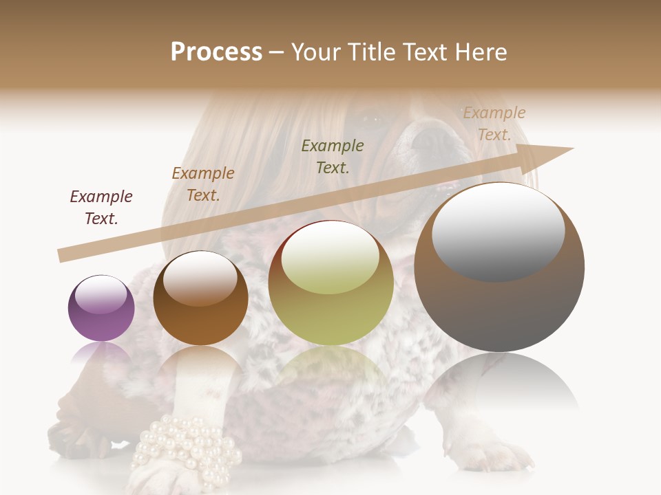 Wrinkle Domestic Wrinkled PowerPoint Template