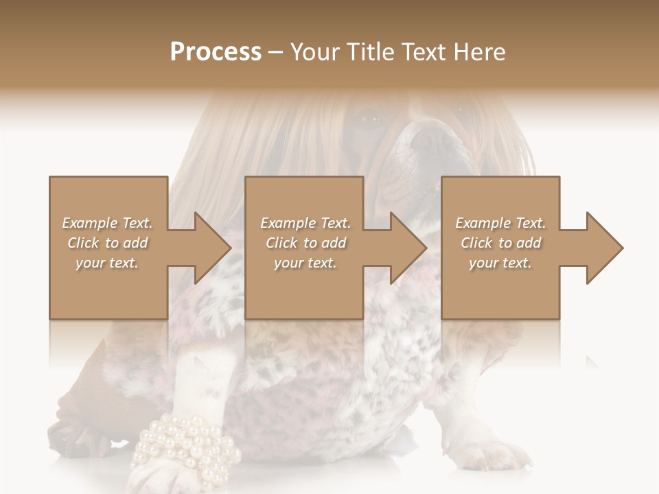 Wrinkle Domestic Wrinkled PowerPoint Template