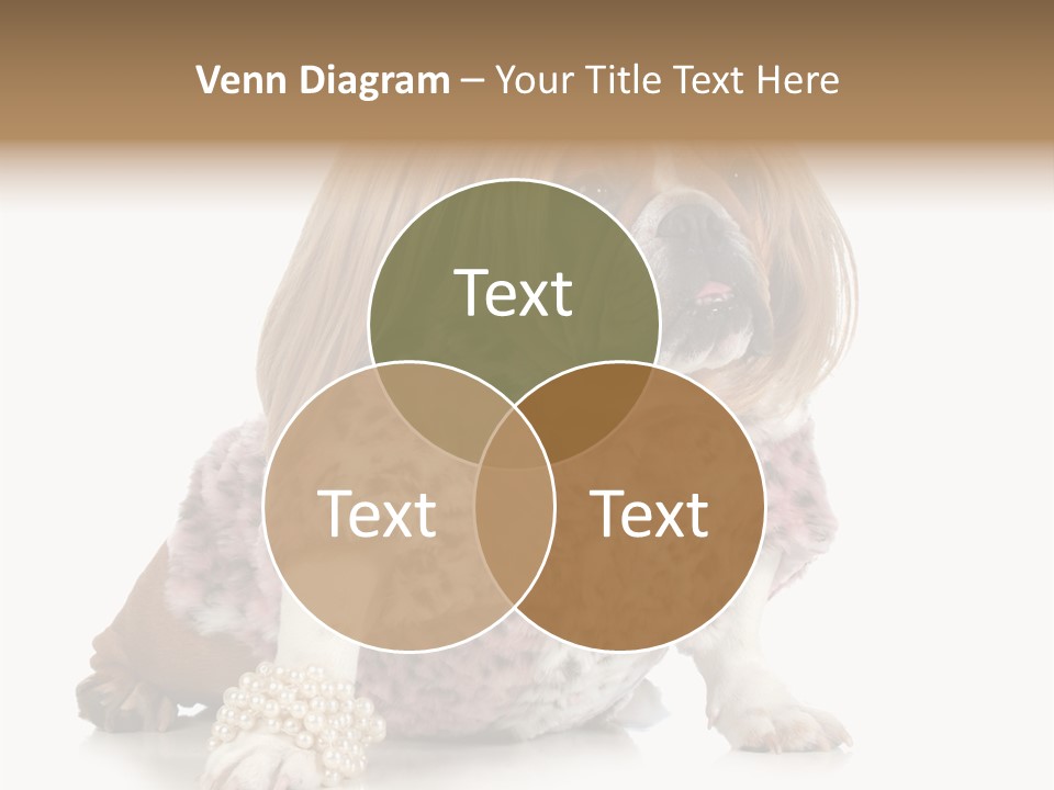 Wrinkle Domestic Wrinkled PowerPoint Template