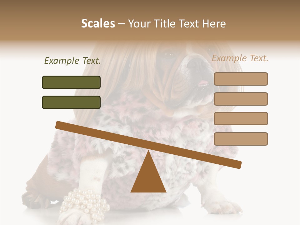 Wrinkle Domestic Wrinkled PowerPoint Template