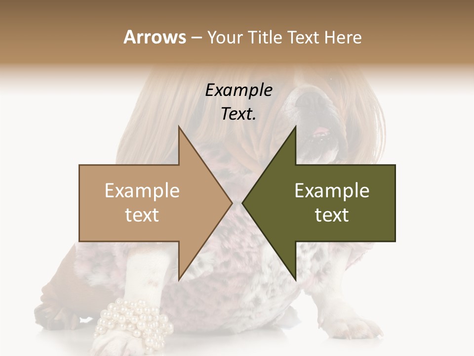 Wrinkle Domestic Wrinkled PowerPoint Template