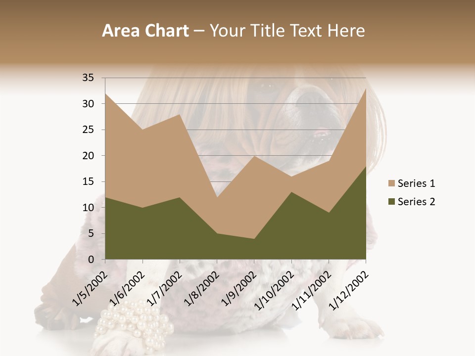 Wrinkle Domestic Wrinkled PowerPoint Template