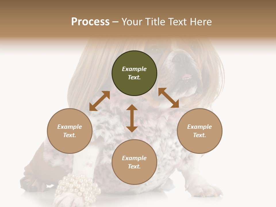 Wrinkle Domestic Wrinkled PowerPoint Template