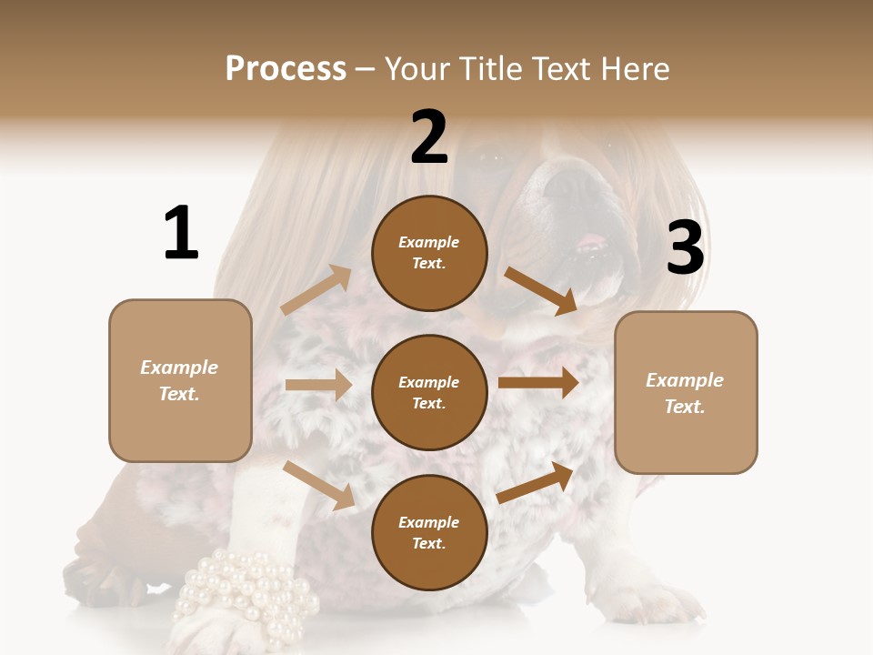 Wrinkle Domestic Wrinkled PowerPoint Template