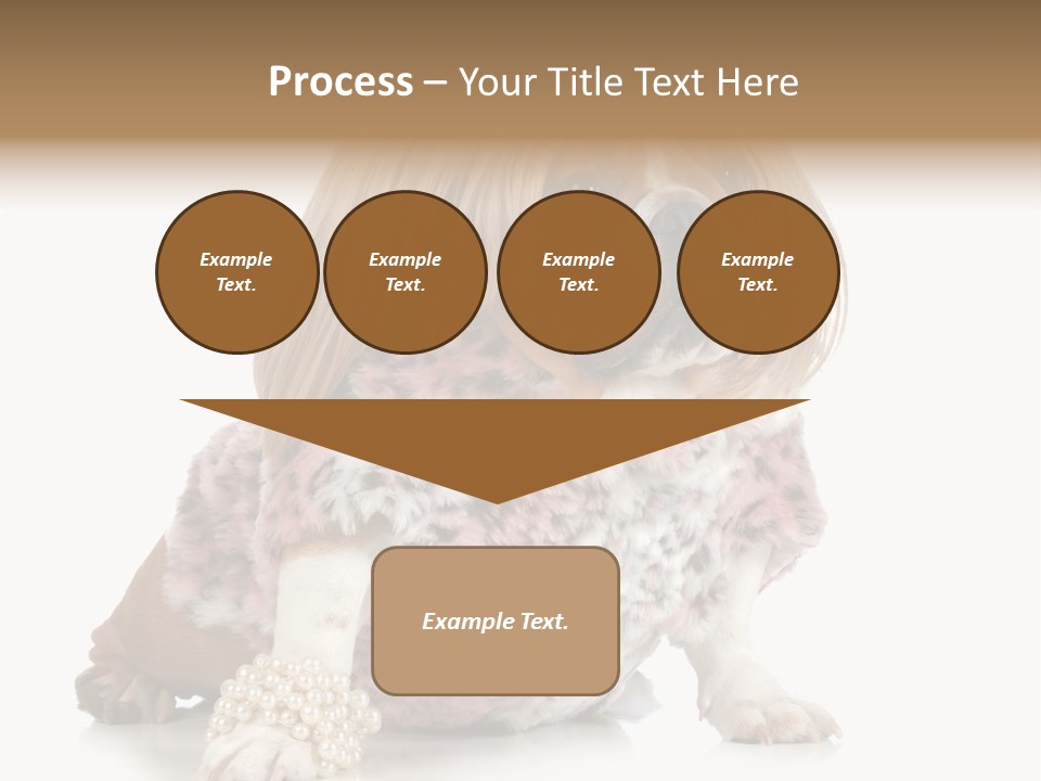 Wrinkle Domestic Wrinkled PowerPoint Template