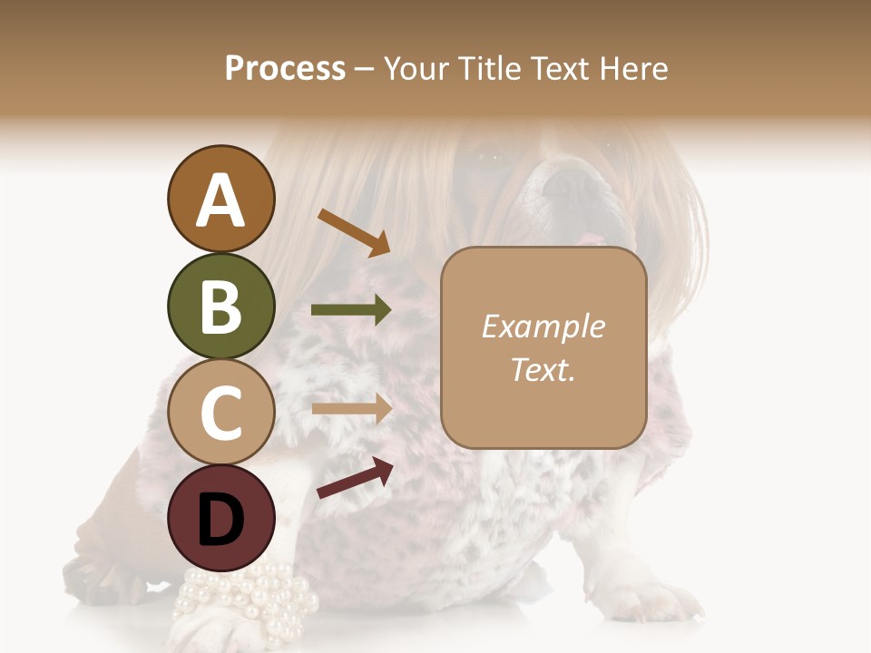 Wrinkle Domestic Wrinkled PowerPoint Template