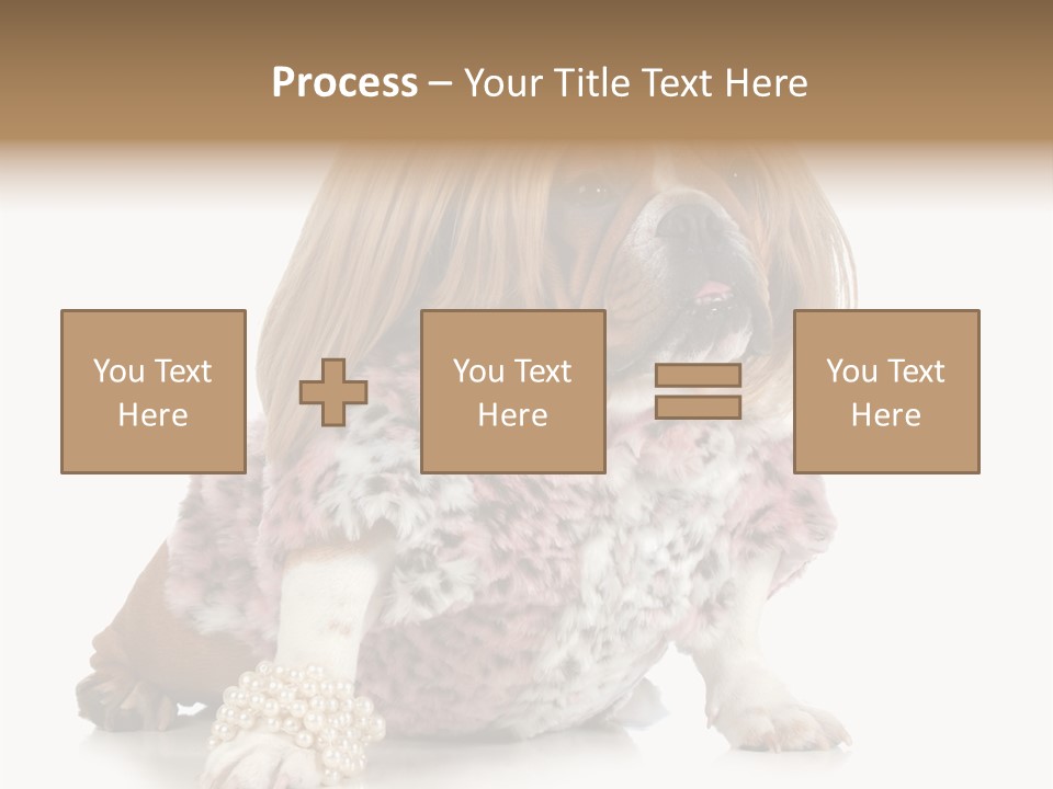 Wrinkle Domestic Wrinkled PowerPoint Template