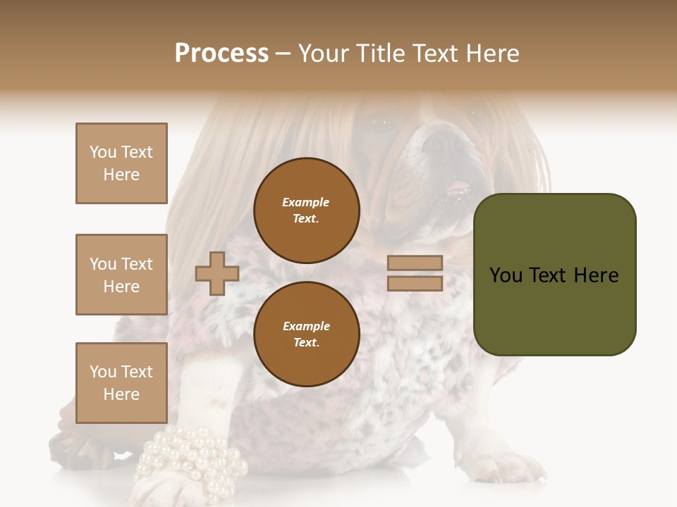 Wrinkle Domestic Wrinkled PowerPoint Template
