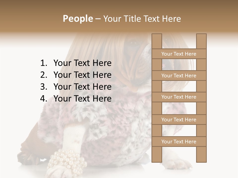 Wrinkle Domestic Wrinkled PowerPoint Template