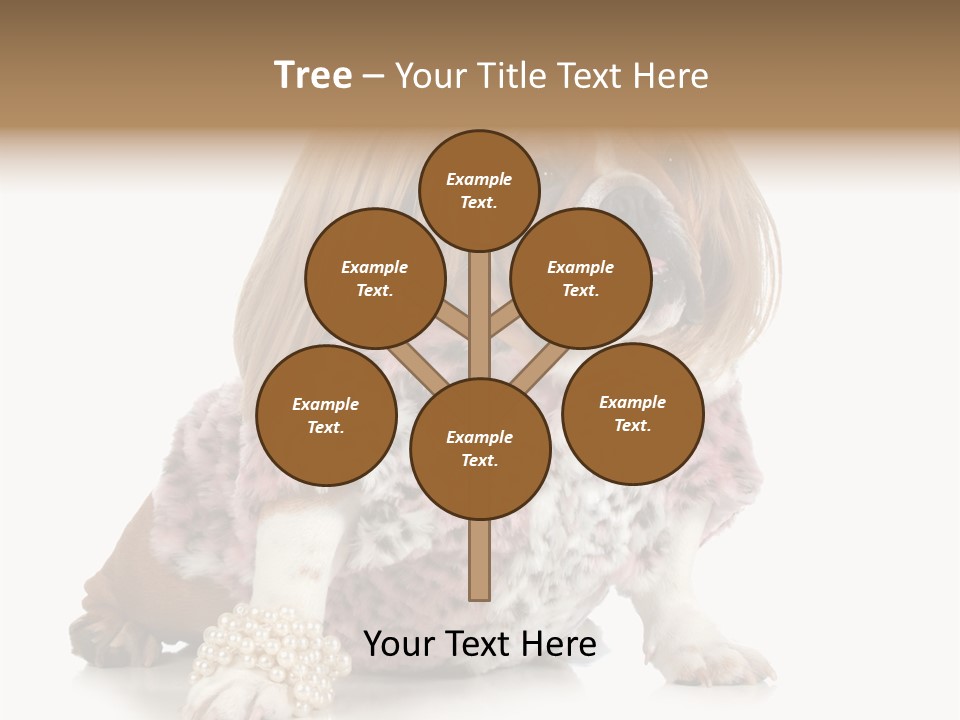 Wrinkle Domestic Wrinkled PowerPoint Template