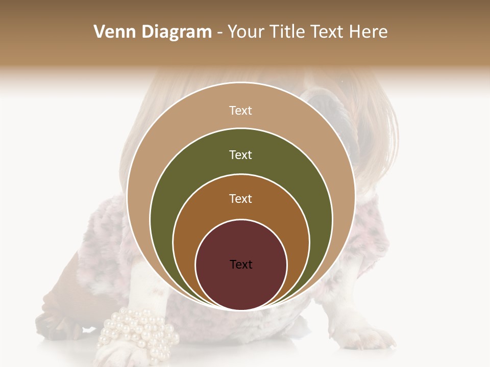 Wrinkle Domestic Wrinkled PowerPoint Template