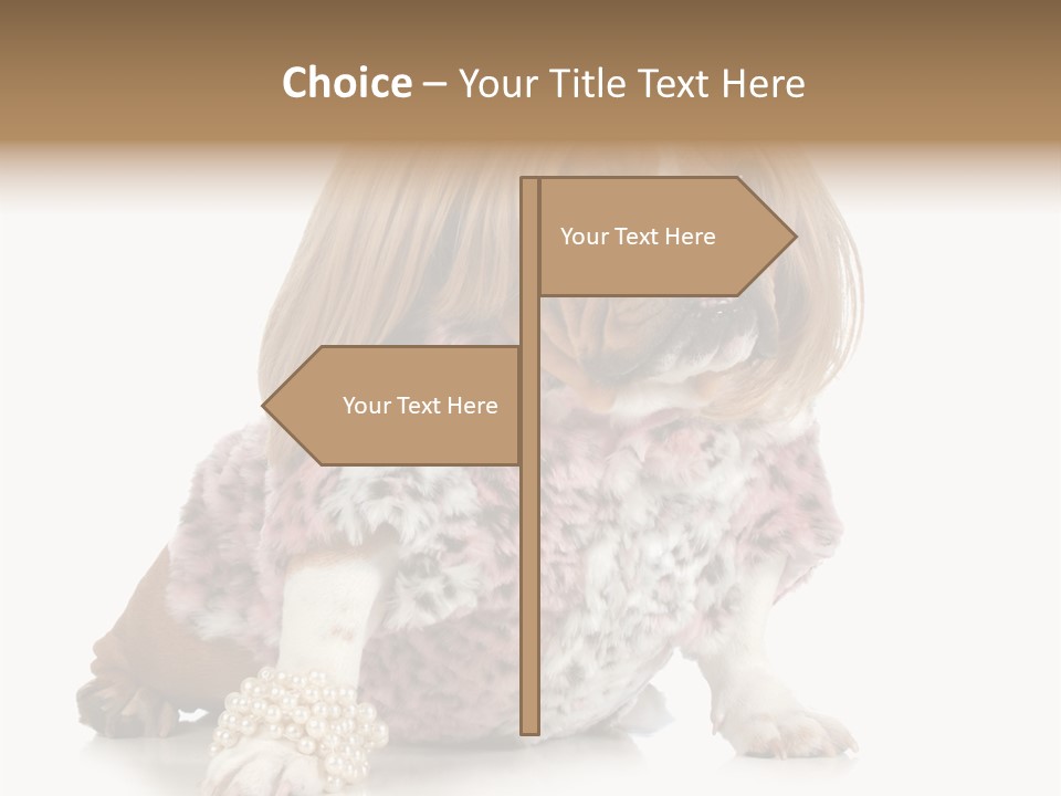 Wrinkle Domestic Wrinkled PowerPoint Template