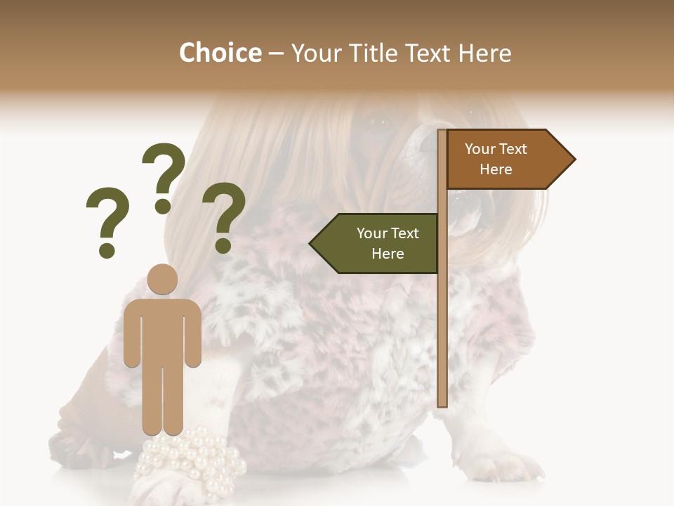 Wrinkle Domestic Wrinkled PowerPoint Template