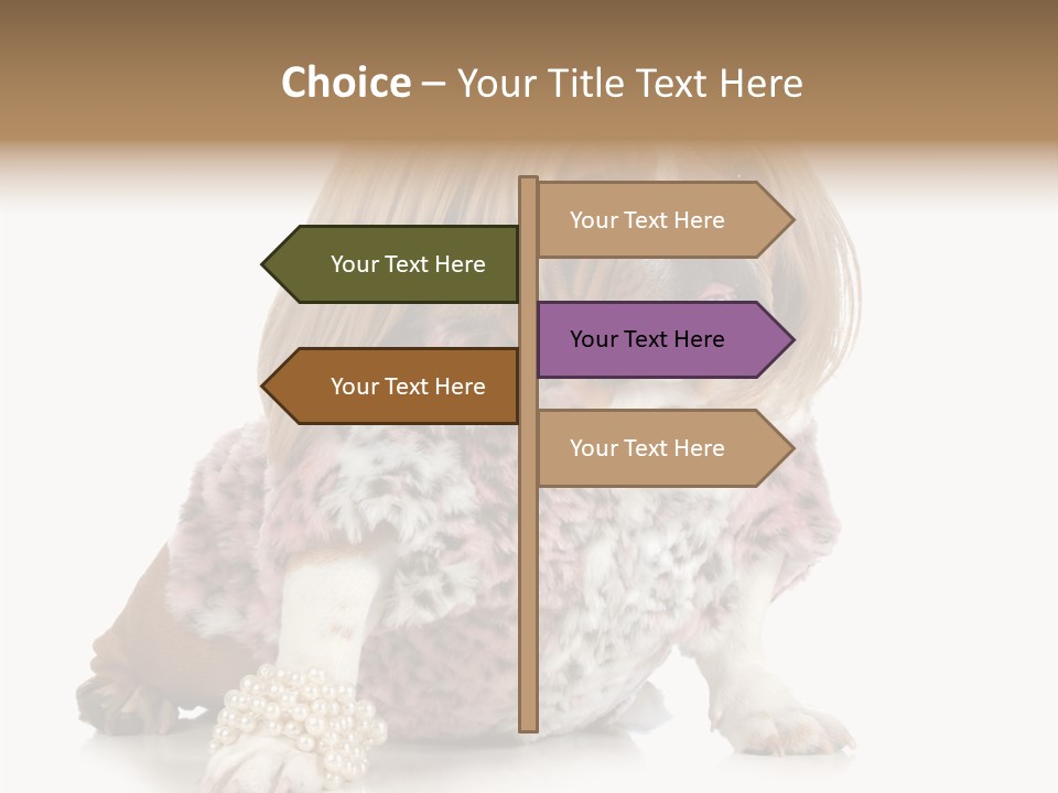 Wrinkle Domestic Wrinkled PowerPoint Template