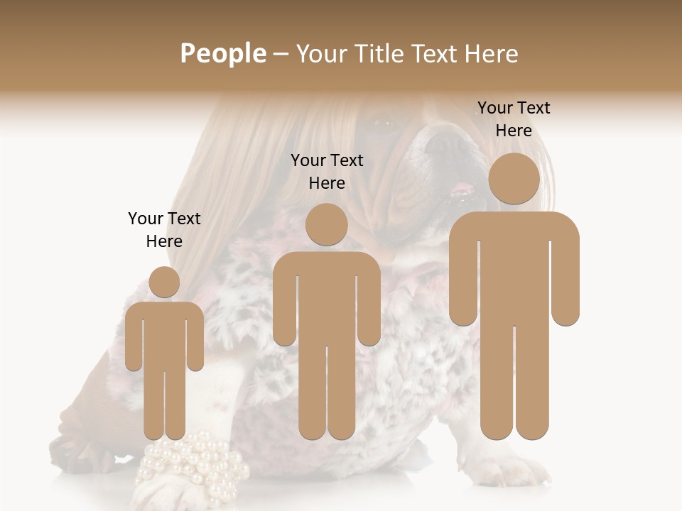 Wrinkle Domestic Wrinkled PowerPoint Template