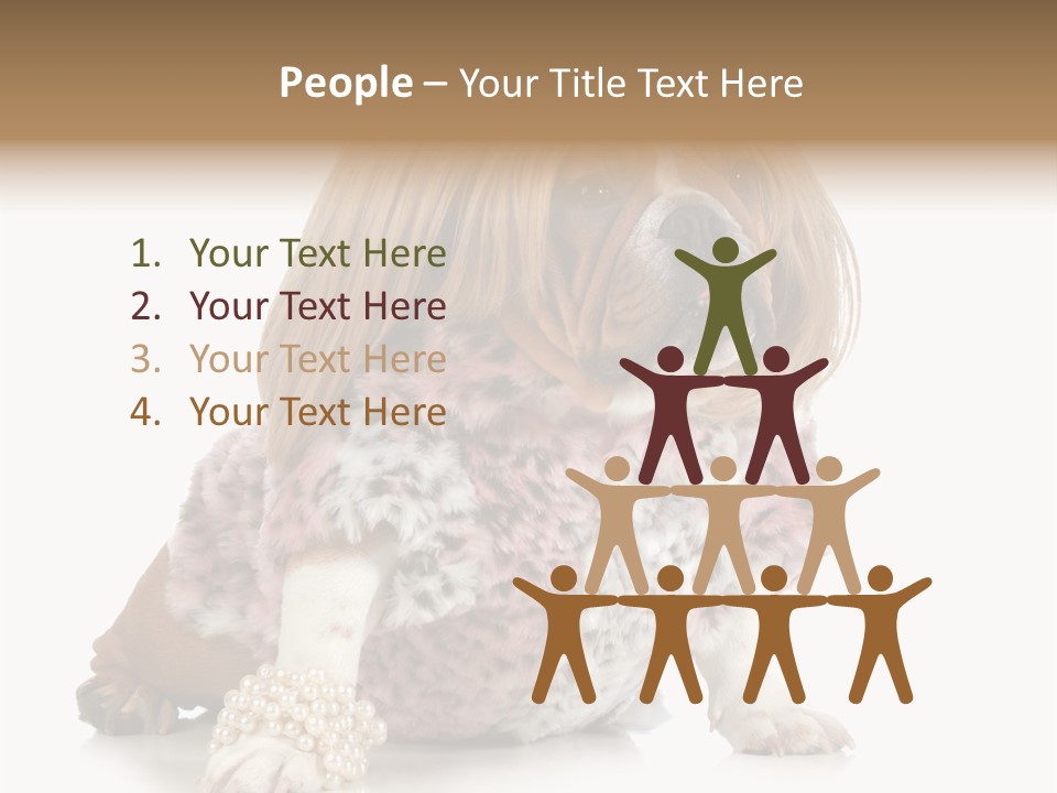 Wrinkle Domestic Wrinkled PowerPoint Template