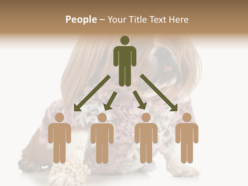 Wrinkle Domestic Wrinkled PowerPoint Template