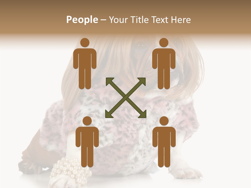 Wrinkle Domestic Wrinkled PowerPoint Template