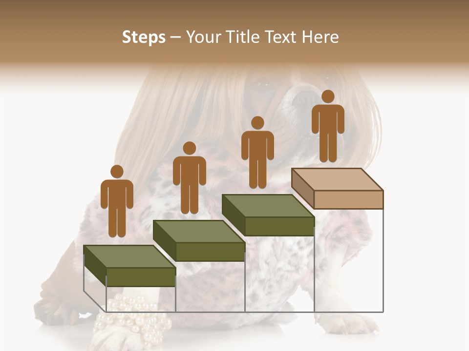 Wrinkle Domestic Wrinkled PowerPoint Template